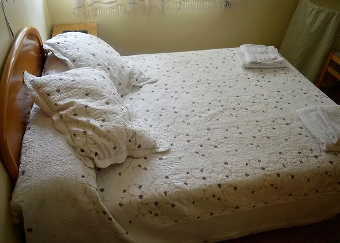 El Kanguro Guest house *