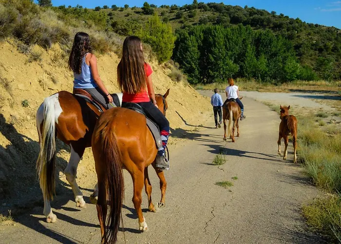 El Kanguro Guest house *